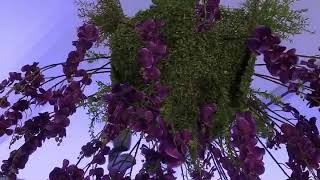 Sharjah wedding 08/09/2017