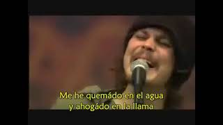 Him   Under the Rose Live Pukkelpop Subtitulos en Español