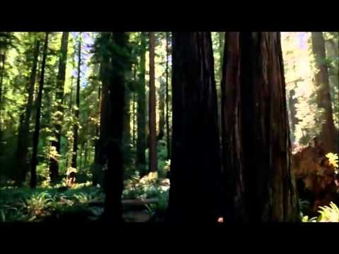 Mantra Meditation Contemplation Samadhi