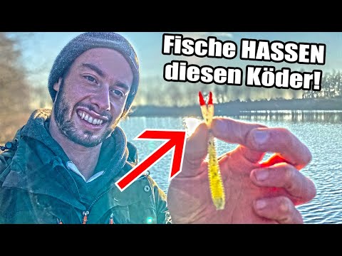[Schockierend] Der FALSCH verstandene KÖDER! Die Wahrheit hinter No Action Köder