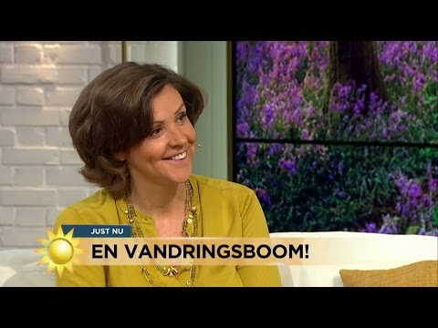 Vandringsresor allt hetare - Nyhetsmorgon (TV4)