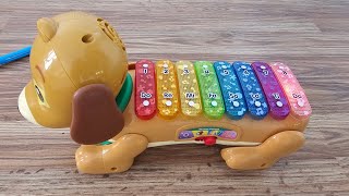 Review | VTech Zoo Jamz Doggy Xylophone