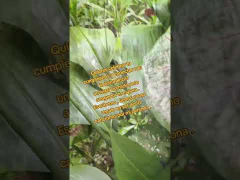 Cusmapa Madriz  Nicaragua