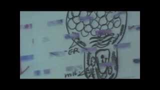 DR Gehan Digestive 3 p2 MP4