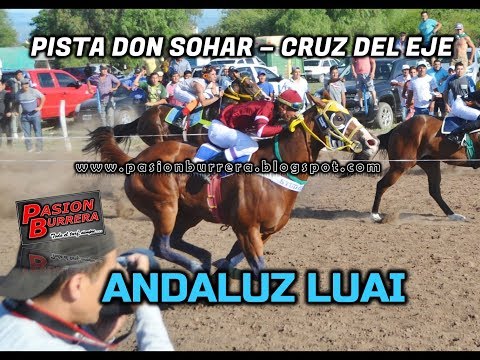 ANDALUZ LUAI, Pista Don Sohar . Cruz del Eje (08-12-19)