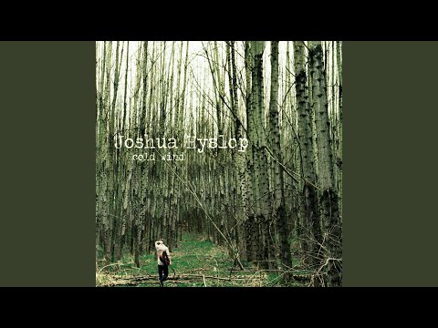 We Have Seen - Joshua Hyslop