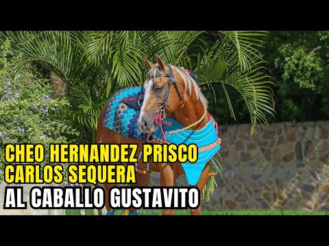 AL CABALLO GUSTAVITO - Cheo Hernandez Prisco - Carlos Sequera