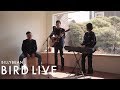 BILLYBEAN BIRDLIVE 짙은 Life Is Good Concert Ver