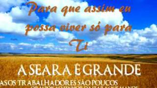 Adie - What have I done (Legenda Português Brasil)