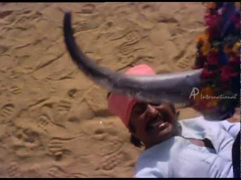 download lagu mp3 mp4 Murattu Kaalai Full Movie 2012 Hd Download, download lagu Murattu Kaalai Full Movie 2012 Hd Download gratis, unduh video klip Murattu Kaalai Full Movie 2012 Hd Download