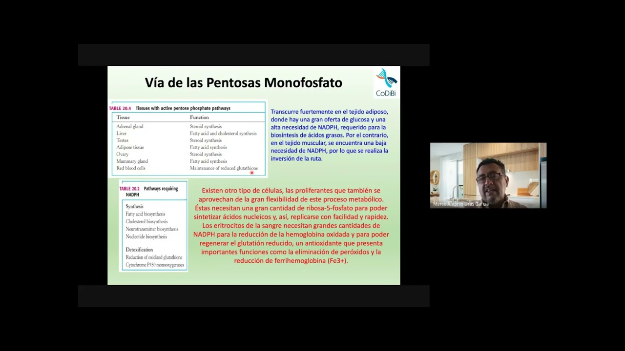 Sesión 21. Vía Pentosas Fosfato