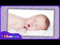 Hush Little Baby Lullaby Song for Babies 