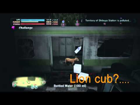 Tokyo Jungle - Retriever Entering Lion Country