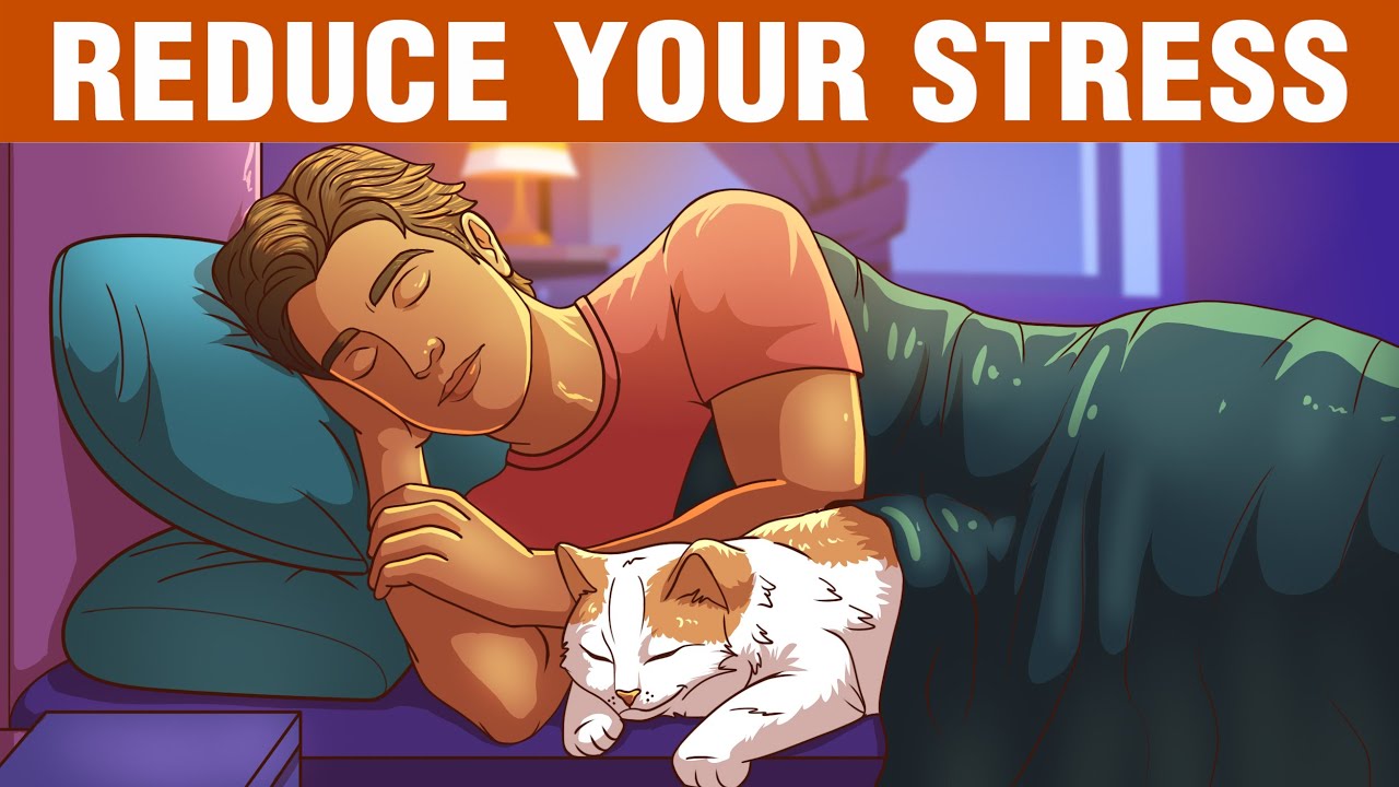 12 Little Habits to Reduce Your Stress