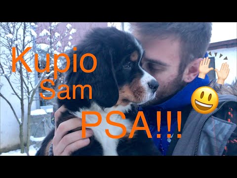 Novi Član Porodice, BERNI!!!!