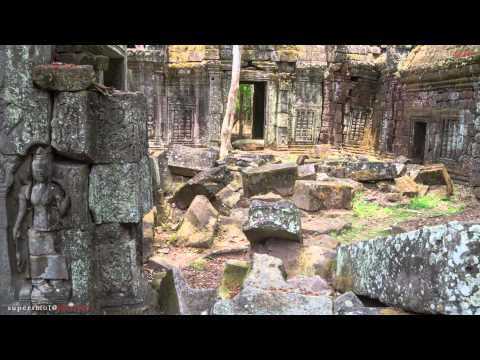 Robusta Project - Anticipation( Хорошие Предчувствия )(Official Music Video)