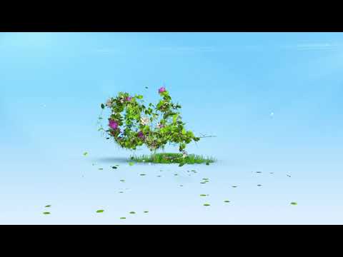 Business Intro #06 | Organic growth nature Brand Intro