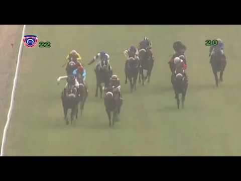 Hippisme – 2e journée (2e course) : Watch Me Dad, la 900e de Gilbert Rousset