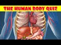 Human Body Quiz | How Much Do You Know About the Human Body?