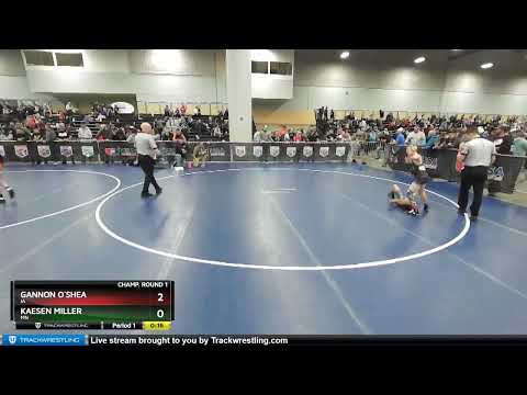 93 Lbs Champ. Round 1 - Kaesen Miller, MN Vs Gannon O`Shea, IA 6c11