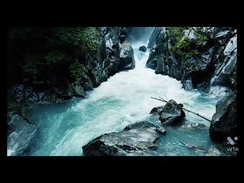 beaches sea ocean water fall forest