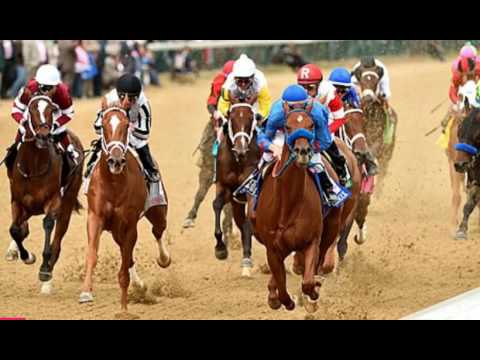 Relive the unfolding of the 2014 Kentucky Oaks! - Horse Lovers