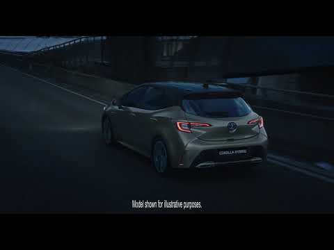 Video preview