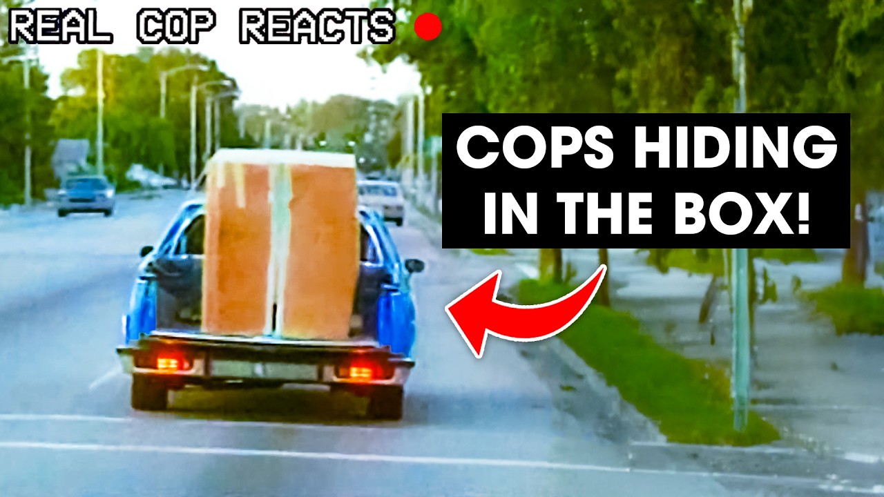 Dealers Get Surprise Of Their Lives