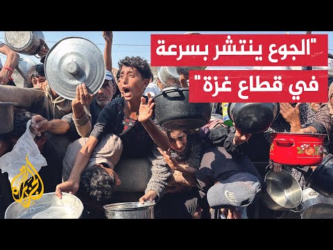 فيديو | الأمم المتحدة: 96% من سكان قطاع غزة يواجهون مستويات كارثية من انعدام الأمن الغذائي