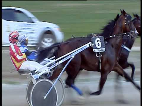 Trotto 01/03/2019 - 5ª corsa