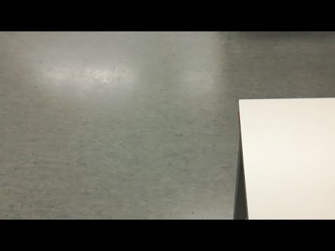 Kiekkohait Team-Lukko