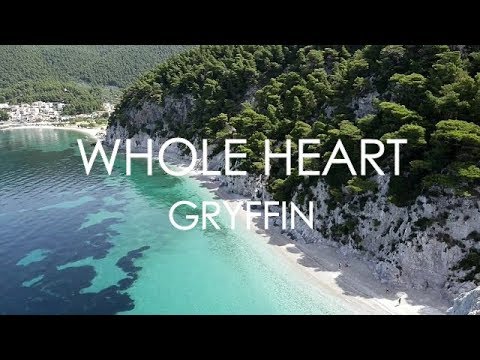 Whole Heart - Gryffin Bipolar Sunshine [Lyrics]
