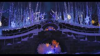 Bethany Dillon - You Could Be The One (TRADUÇÃO)