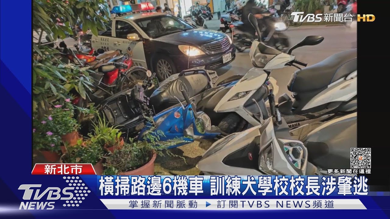 橫掃路邊6機車　訓練犬學校校長涉肇逃