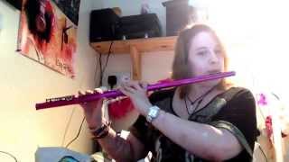 Superchick- Stand in the Rain (Symphonic Mix)- Flute Cover