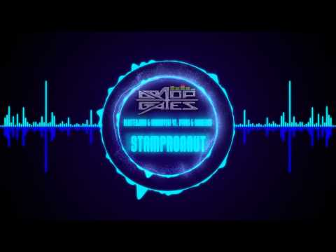 Blasterjaxx & Ibranovski vs. DVBBS & Borgeous - Stampede vs. Astronaut (DropGates Mashup)