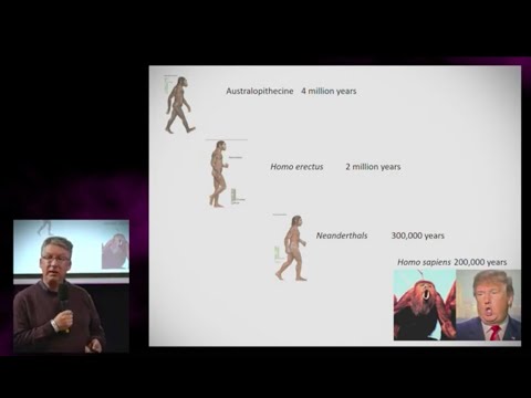 Unsound Presentation: The Evolution of Sound (Michael Spitzer)