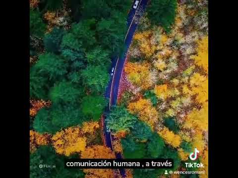 Luis Antonio Wences Román-6