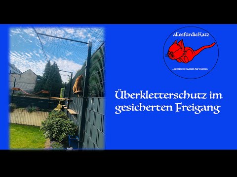 Climbing protection in the secured cat garden