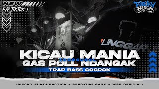 Download lagu DJ TRAP KICAU MANIA | GAS POLL DANGAK | SENGKUNI GANK × RIECKY FUNDURACTION [WSB] mp3