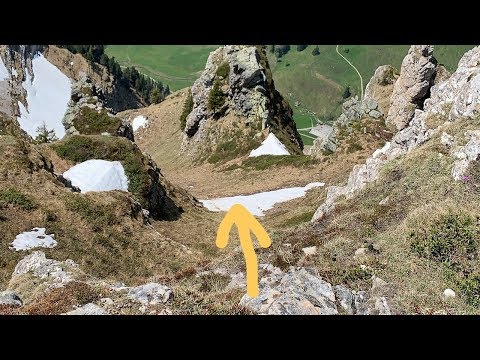 download lagu mp3 mp4 Exotisches Gemse, download lagu Exotisches Gemse gratis, unduh video klip Exotisches Gemse