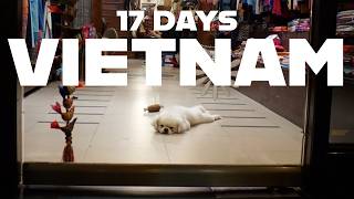 Vietnam Travel Vlog | 2 weeks in Vietnam FULL Itinerary &amp; travel tips