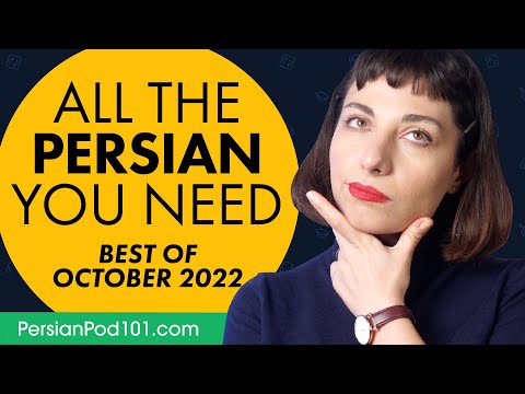 Your Monthly Dose of Persian - Best of October 2022