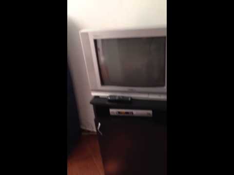 Pensiunea Forest Mirage