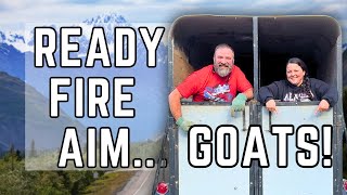 Alaskan Homesteaders and an Ever-Expanding Goat Herd: It's AbsHERD!