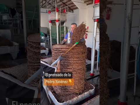 Pressing pressing… 😏🍷 @alexpardo.gca #winemaker #winery #wine #vino #wineinspires