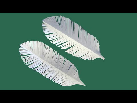 How to make paper feathers