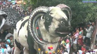 Download lagu Arak-arakan Gegesik Cirebon 2019 mp3 Download lagu Arak-arakan Gegesik Cirebon 2019 mp3