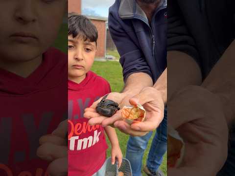 أُميم مصدوم 👀#aymanfamily #السعودية #العراق #اكسبلور #ترند #shorts