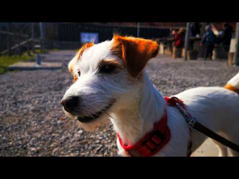 Hot Laps - Wilhelmina und Jacky Lu in Action